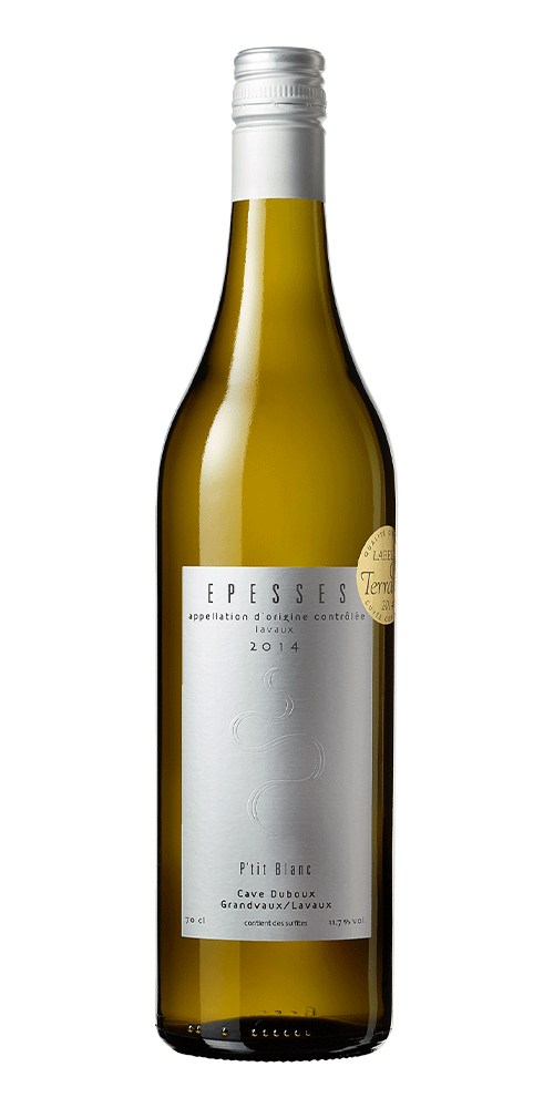 Cave Duboux - Epesses - P'tit Blanc (copie)