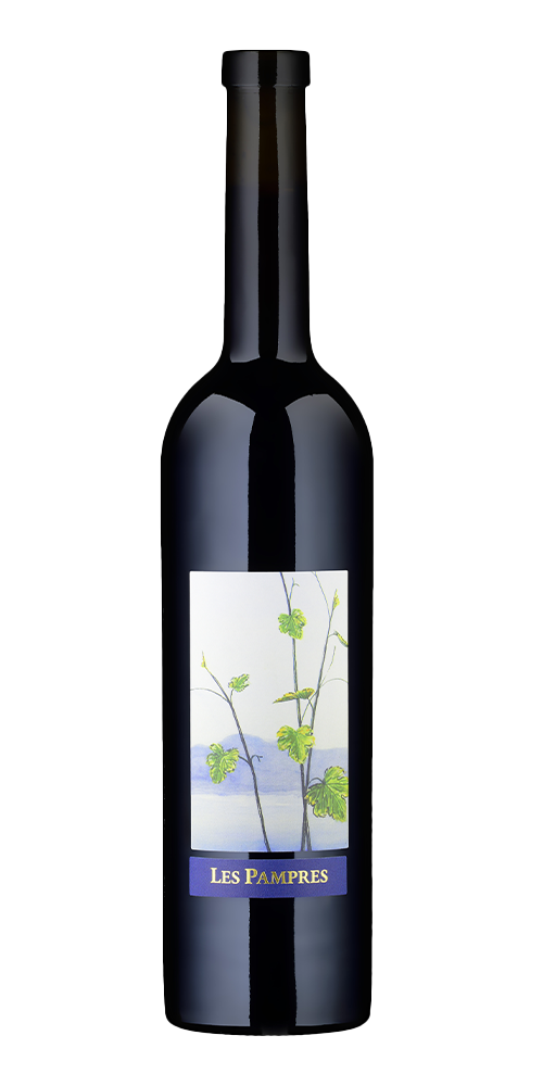 Pascal Dance - Les Pampres Gamaret