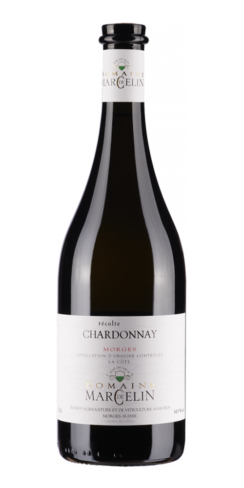Domaine de Marcelin - Chardonnay barrique